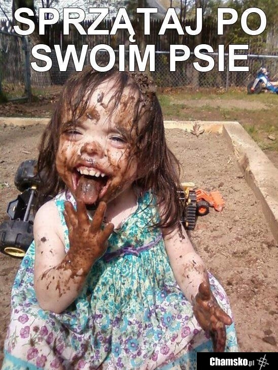 Sprzątaj po psie