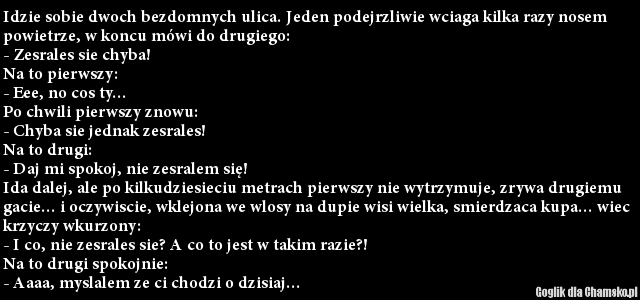 0_0_1864086264_bezdomni_przez_goglik_middle.jpg