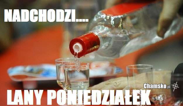http://www.chamsko.pl/demot/0_0_2129811026_Nadchodzi_lany_poniedzialek_przez_alfred77_middle.jpg