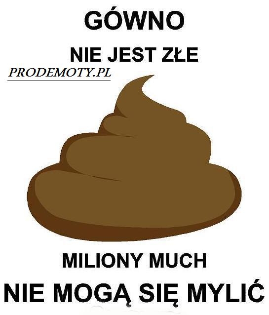 0_0_481325512_gowno_przez_bartus1_1291_m