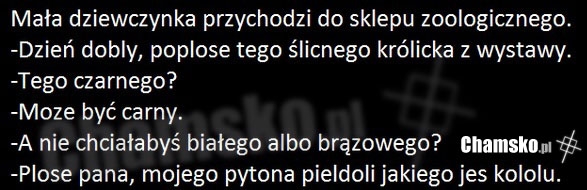 Króliczek