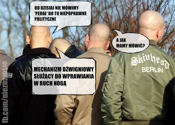 0_0_53481917_Pedaly_przez_xawery_middle.