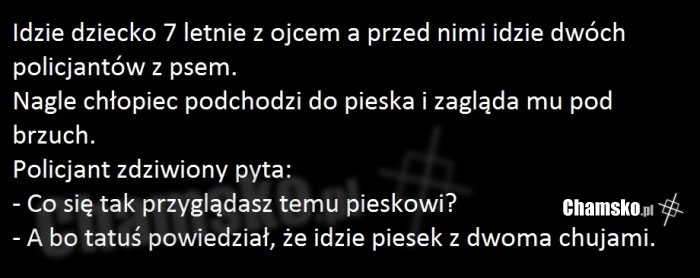 0_0_578074126_piesek_przez_qwert1_middle.jpg