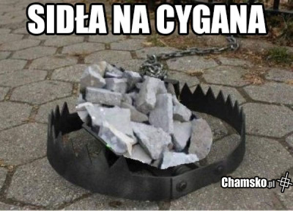 Sidła - chamsko.pl