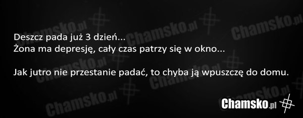 http://www.chamsko.pl/demot/0_1_57846_Deszczowy_dzien_przez_daga88.jpg