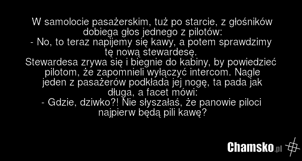 0_1_61816_Nowa_stewardesa_przez_abando.p