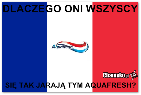 [Obrazek: 0_1_69551_Jakas_promocja_przez_pankroliczek.png]