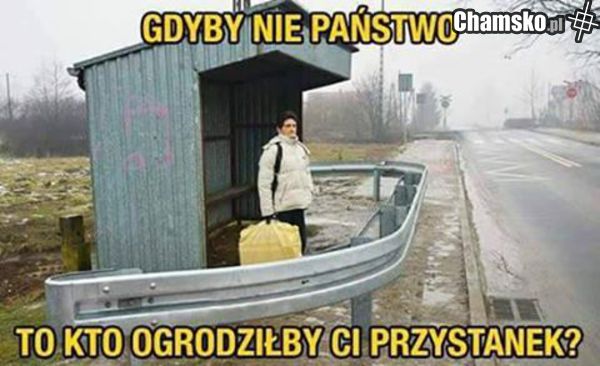 0_1_77171_Przystanek_przez_Rasista_z_Zambrowa.jpg