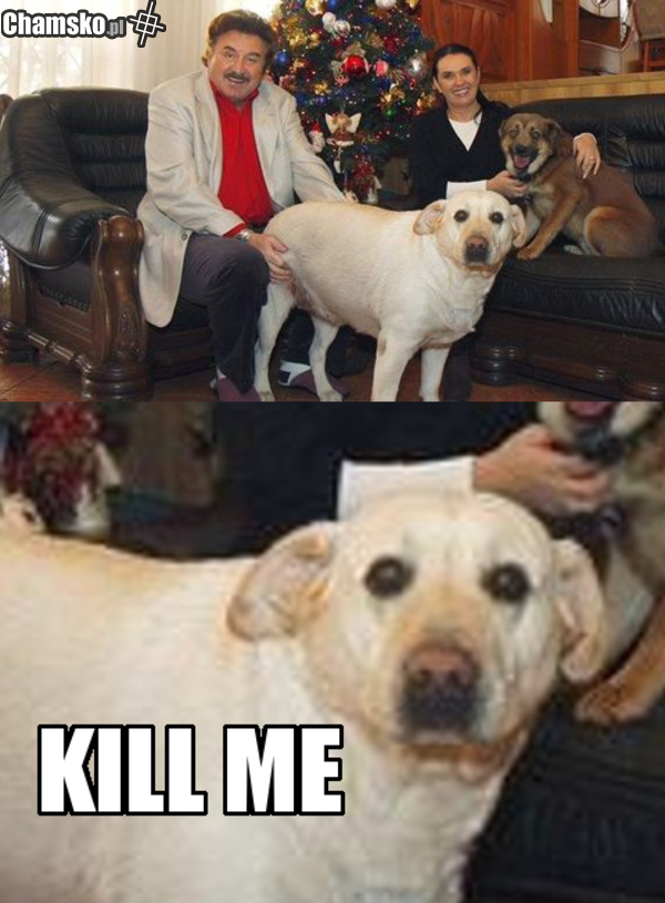 0_1_80214_Krawczyk_przez_calyczastluklo.png