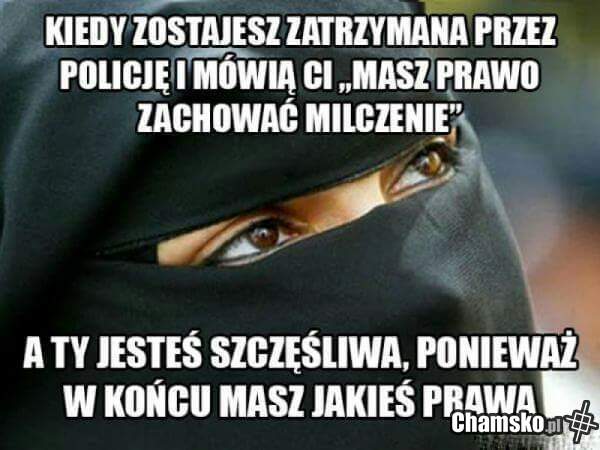 0_1_83007_Warto_miec_swoje_prawa__przez_szymper.jpeg