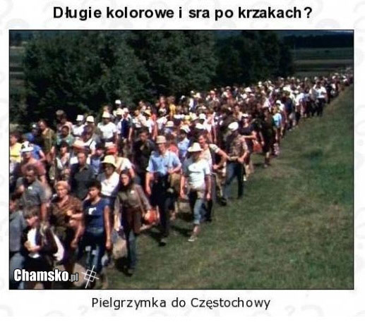 100_100_1359821501_Zagadka_przez_siwex19_middle.jpg