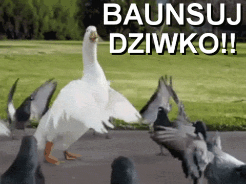 100_100_172058704_Baunsuj_dziwko_D_przez_MiNuS123_middle.gif