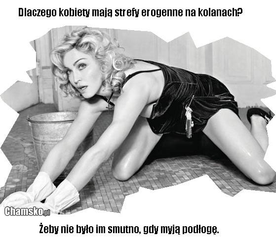 100_100_1726894597_kobiety_przez_psiocha4_middle.jpg