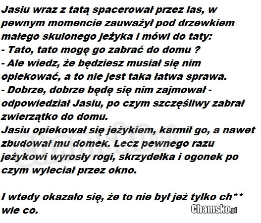 100_100_490492082_jezyk_przez_Pinacolada_middle.jpg