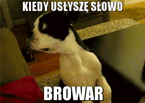 Browar :D - chamsko.pl