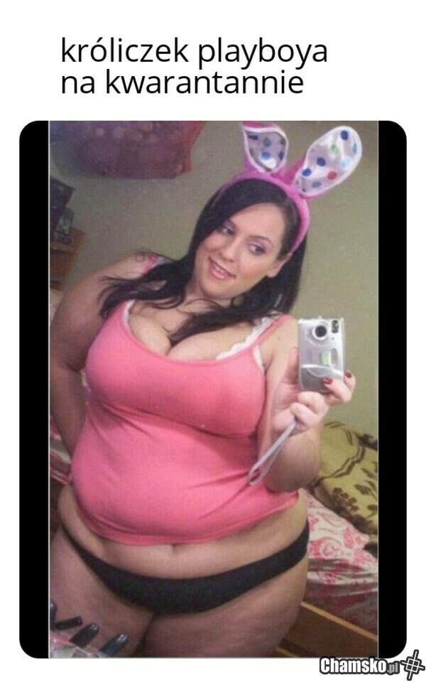 0_1_107726_Kroliczek__przez_rafael7575.j