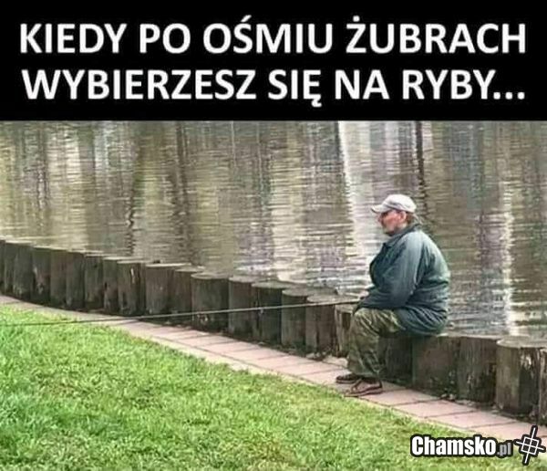 0_1_113127_Co_jest_kurwa_przez_Rasista_z