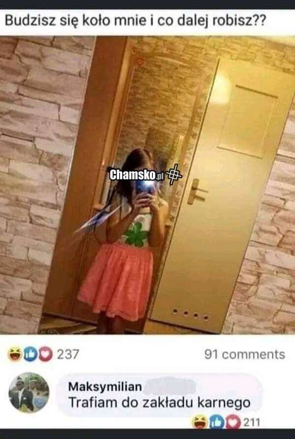 0_1_116337_Co_robisz_przez_pluszowymis.jpg