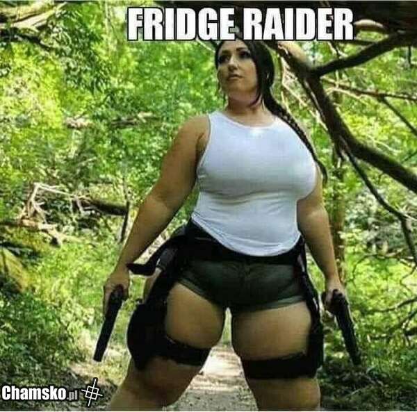 0_1_116508_Fridge_rider_przez_amb00.jpg