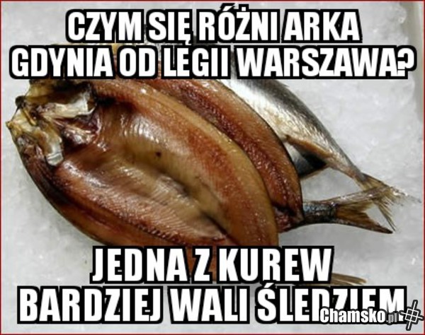 Co To Jest Za Druzyna Co Sledziem Co to jest za drużyna? - chamsko.pl