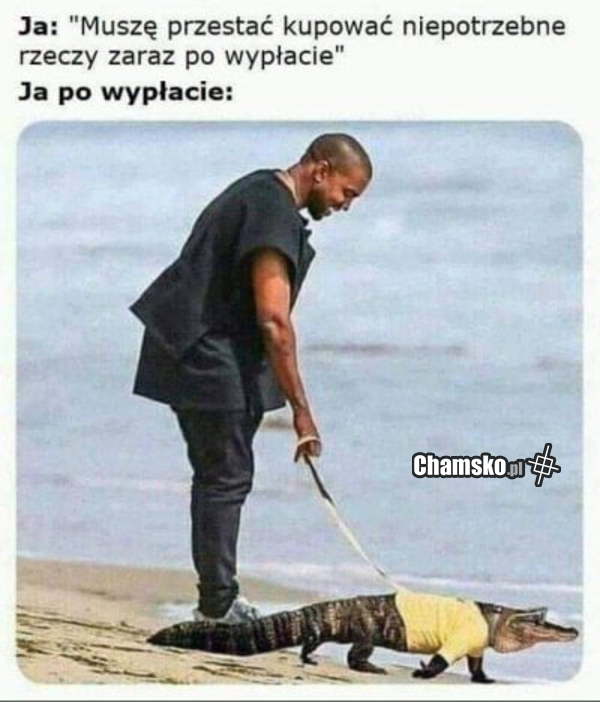 0_1_95861_Wyplata__przez_Luca2017.jpg