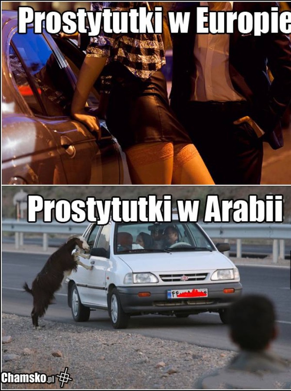 0_1_95975_Ruchanie_przez_Rasista_z_Zambrowa.jpg
