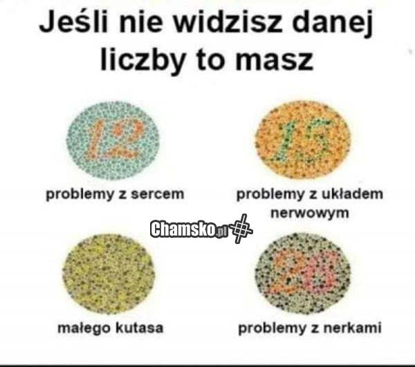 0_1_96626_Test_przez_Luca2017.jpg