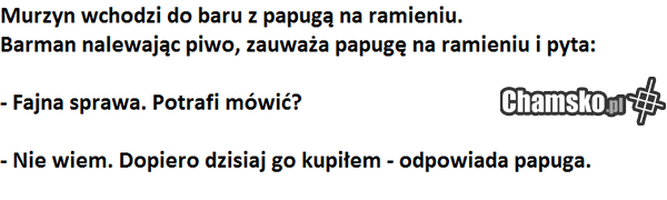 0_1_96683_swiezy_zakup_przez_Rasista_z_Zambrowa.png